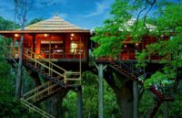 best-treehouses-in-thekkady-850x550.jpg